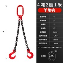 쇠사슬 인양 체인 슬링 도르래 고리 사슬 강철 와이어 인양고리 호이스트 더블체인 리프트, 13 4톤 후크2개 1m