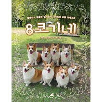 8코기네