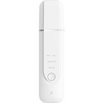 Inface 울트라 소닉 이온 클렌징 피부마사지기, 화이트, MS7100