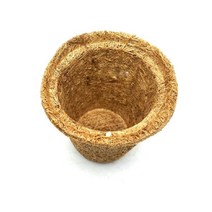 씨앗발아 코코넛 포트화분 10개 9x9cm 어린이집교구