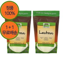 1+1 나우푸드 락토스 푼말 파우더 가루 454g