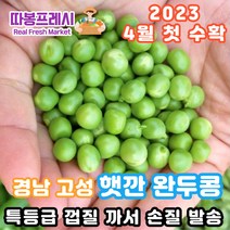 따봉프레시 국내산 2022 햇깐 프리미엄 완두콩 이유식용 요리용, 햇깐 완두콩 3kg, 3개