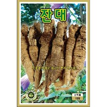 씨앗 잔대 KS (딱주) 1000s