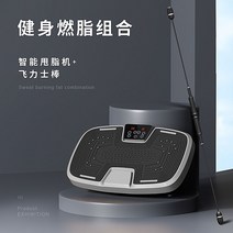 남자 음파진동기 전신 홈트 뱃살 음파 운동기구 쉐이크 덜덜이 다이어트 기구, 실버플렉스 스틱+스마트 지방분쇄기헬스 지방분쇄