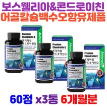 17종 유산균 비타민미네랄 분말 콘드로이틴 하루한알 상어연골콘드로이친 노약자 손목 발목 어르신 중년 장년 노년 노인 시니어 실버 60대 70대 80대 환갑 회갑 칠순 건강 선물