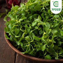 온도씨 가락시장 크레숑 300g, 1개