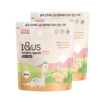 아이앤어스 미니 캡슐세제 골드블루베리향, 40개입, 2개