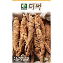 다농 참당귀 1g - 씨 씨앗 참당귀씨앗 참당귀씨 당귀 나물씨앗 민속채소 채소씨 채소씨앗 당귀씨 당귀씨앗, 04_다농_더덕(3g)