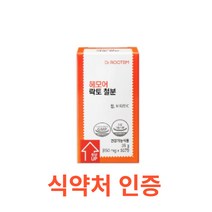닥터루템 헤모어 락토 철분 60정 식약처인증 고함량 비타민C 비헴철 무첨가 여성 필수 철분제 임산부 어린이 청소년 여성 유기농 유산균 추출 천연 자연 유래 영양제, 11개