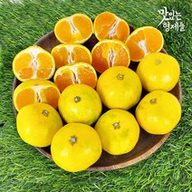 제주 서귀포 하우스귤 감귤 제주도 귤 밀감 3 5 10kg, 1박스, 3kg 로열과(S-M)