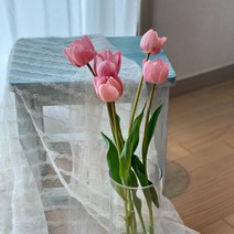 농부가 키운 튤립 레이저게임 핑크 생화 1단 태안꽃농장 직접재배 필랑말랑 생화택배, 튤립: 레이저게임