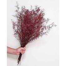 수앤로즈플라워 프리저브드 프리저브드플라워 미스티블루 드라이플라워 말린꽃 청첩장 프리저브드꽃다발, 레드