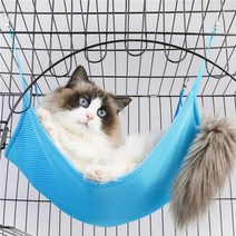 길고양이겨울집 고양이비닐하우스 강아지 방음 부스 길냥이 겨울집 2022 대형 Mrme 고양이 해먹 교수형 스, 02 blue