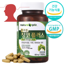 식약처인증 혈행개선 징코 기억력 개선 플러스 두뇌 건강 기능 추천 은행잎추출물 600mg, 2개, 60정