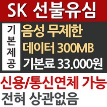 선불유심/ 선불폰/ 데이터 상품/ SK, 1개, 선불유심