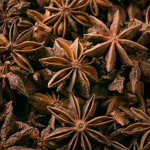 봉래 팔각향(팔각회향) 600g/한방차/건강차/붓순나무/약초 식품 > 건강식품 전통건강식품 기타전통건강식품/한방재료, 600g, 1, 600g” class=”wr-img”></a></div></p></div></p></div></p></div><div class=