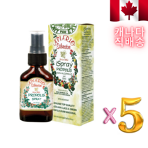 인후염에 좋은 꿀벌 프로폴리스 스프레이 30ml 5개