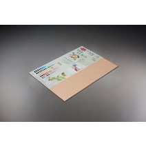 뉴씨플레인 종이문화 컬러용지 칼라용지 8절 120g10매21.살구색-, 47.검정색