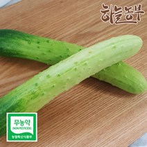 하늘농부 친환경 오이 2입, 단품
