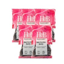 홀랜드앤바랫 다크 초콜릿 건포도 125g Holland & Barrett Dark Chocolate Raisins, 5팩