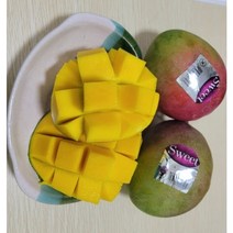 수입산 프리미엄 애플망고 1kg 2kg 3kg 4kg 중남미 새콤달콤 Apple mango, 3kg (7-10과), 1개