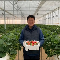 고당도 논산딸기 비타베리 설향 딸기 1kg, 설향딸기 상(1kg)