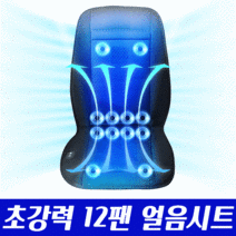 차량용 최신형 쿨링시트 12팬 얼음방석, 화물/버스 24V