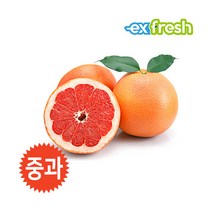 [익스프레쉬] 레드 자몽 중과 15입 5.3kg 내외, 상세 설명 참조, 상세 설명 참조