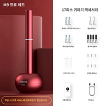 샤오미 최신 비버드 note3 카메라 귀파개 집게모드 귀이개 내시경 이어스캐너, M9프로레드올인원순풍