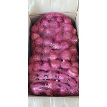 중국양파 중국샬롯 모총샬롯빨간양파 미니양파, 중국샬롯 10kg