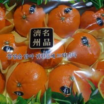 [명가]제주 황금향 레드향 천혜향 한라봉 비가림 하우스 감귤, 1박스, 09.한라봉 3kg/가정용(8~12과내외)