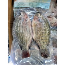 냉동 블랙틸라피아 650g Tilapia 피쉬앤 칩스 블랙 틸라피아 역돔