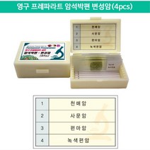 천매암 사문암 편마암 녹색편암 영구프레파라트 현미경관찰용 변성암 4P 학교용