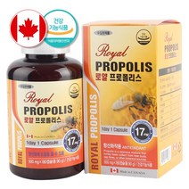 로얄 프로폴리스 항산화 영양제 500mg x 180캡슐 6개월분 대용량 캐나다 폴리폴리스, 1개