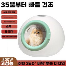 펫 스타일러 고양이 건조기 케어 강아지 털 말리기 개털 드라이어 드라이룸, 그린