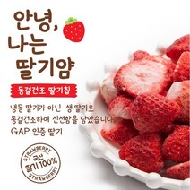국산 동결건조 과일칩 농협 생딸기칩 올바름 무설탕 유아 어린이 과자 뻥튀기 아기간식 웰빙