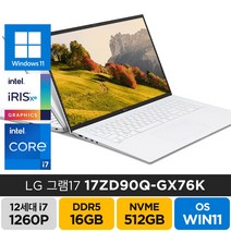 LG전자 2022년형 그램 17인치 17ZD90Q-GX76K 게임 학생 주식 고성능 기업 가성비 노트북, WIN11 Home, 16GB, 512GB, 코어i7, 화이트