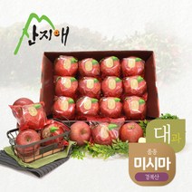 산지애 씻어나온 꿀사과 3kg 1box (대과) 청송산 미시마 당도선별, 단품