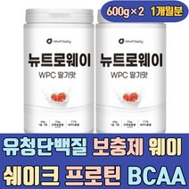 순수 유청 단백질 보충제 웨이 쉐이크 프로틴 BCAA 필수아미노산 류신 이소로이신 라이신 벌크업 근육 운동 파워 벌크버스터 근력 에좋은 남자 여성 여자 식단 음식 식품 헬스 분말