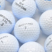 빅야드 화이트 A 등급 10알 골프shop 골프공로스트볼