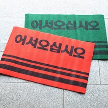 통현관카펫매트 로고 50x80, 그린