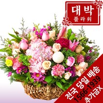 대박플라워 니가제일이뻐 꽃바구니 생일선물 기념일 출산꽃선물 병문안 꽃배달