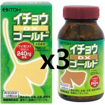 일본 이토한방제약 은행 이쵸 DX 징코 240정 x 3병