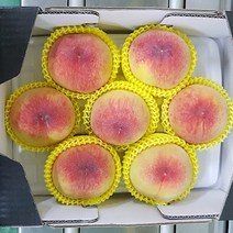 경북 털복숭아 꿀복숭아 말랑이 황도복숭아 2kg 4kg 제철과일, 황도 2kg (7과수내외)