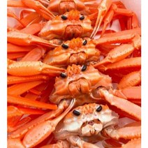 포항 홍게 제철 국내산 연지홍게 산지직송 3kg, A급 꽉찬 연지홍게 3kg(9~11마리)