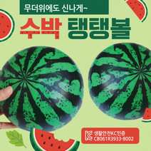 비치볼 [수박비치볼] 비치볼/칼라비치볼/무지비치볼/삼색비치볼/돼지비치볼/물놀이공/물놀이용품/탱탱볼, 펌프