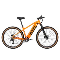 트위터자전거 E300후륜구동 RS10단 350W 13A, 100%완조립배송, 17/29, 오렌지