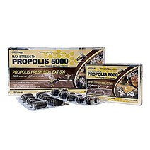호주 네이쳐스그린웨이 프로폴리스 5000mg 120캡슐 프로폴리스원액 호주산프로폴리스, 1box