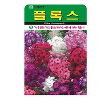 SN월드 야생화 씨앗 꽃씨앗 모음, 야생화 - 플록스(300립)