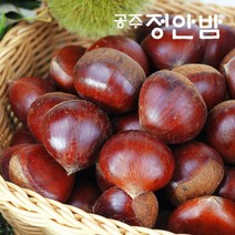 [푸드마인] 22년 공주밤 정안 알밤 4kg(특품) 햇밤, 상세 설명 참조